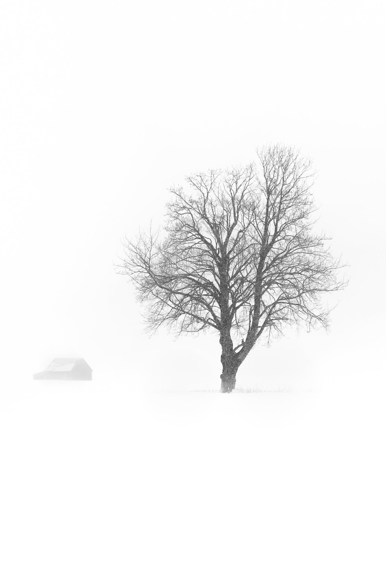 Minimalisme